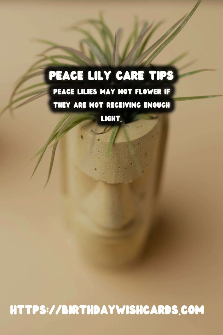 Caring for Peace Lilies: Troubleshooting Common Issues