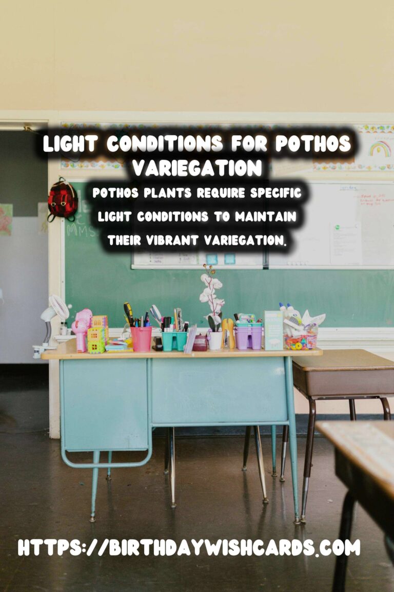 Caring for Pothos Plants: Maximizing Light for Variegation