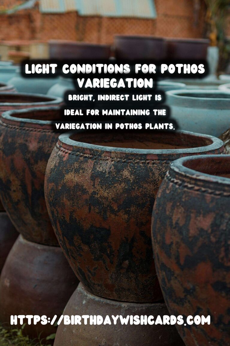 Caring for Pothos Plants: Maximizing Light for Variegation