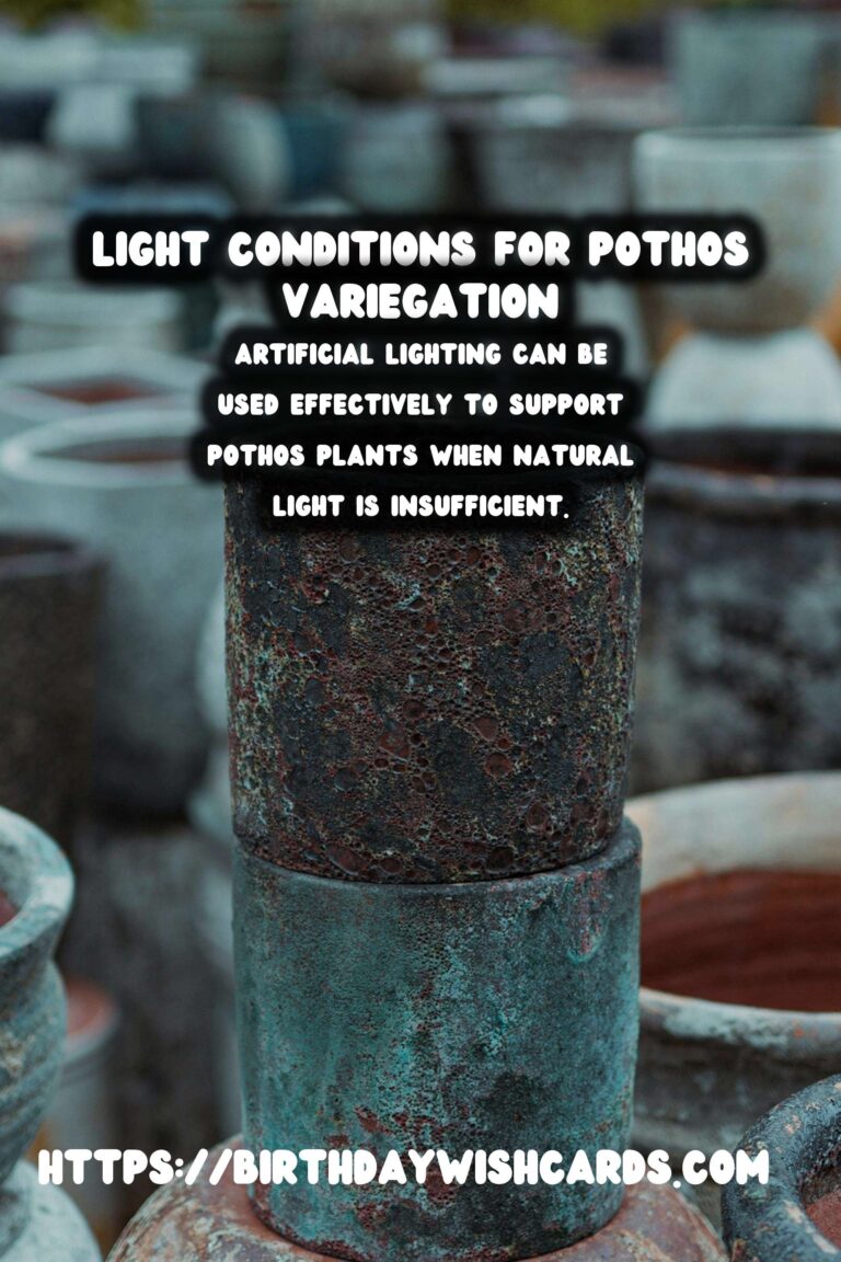 Caring for Pothos Plants: Maximizing Light for Variegation