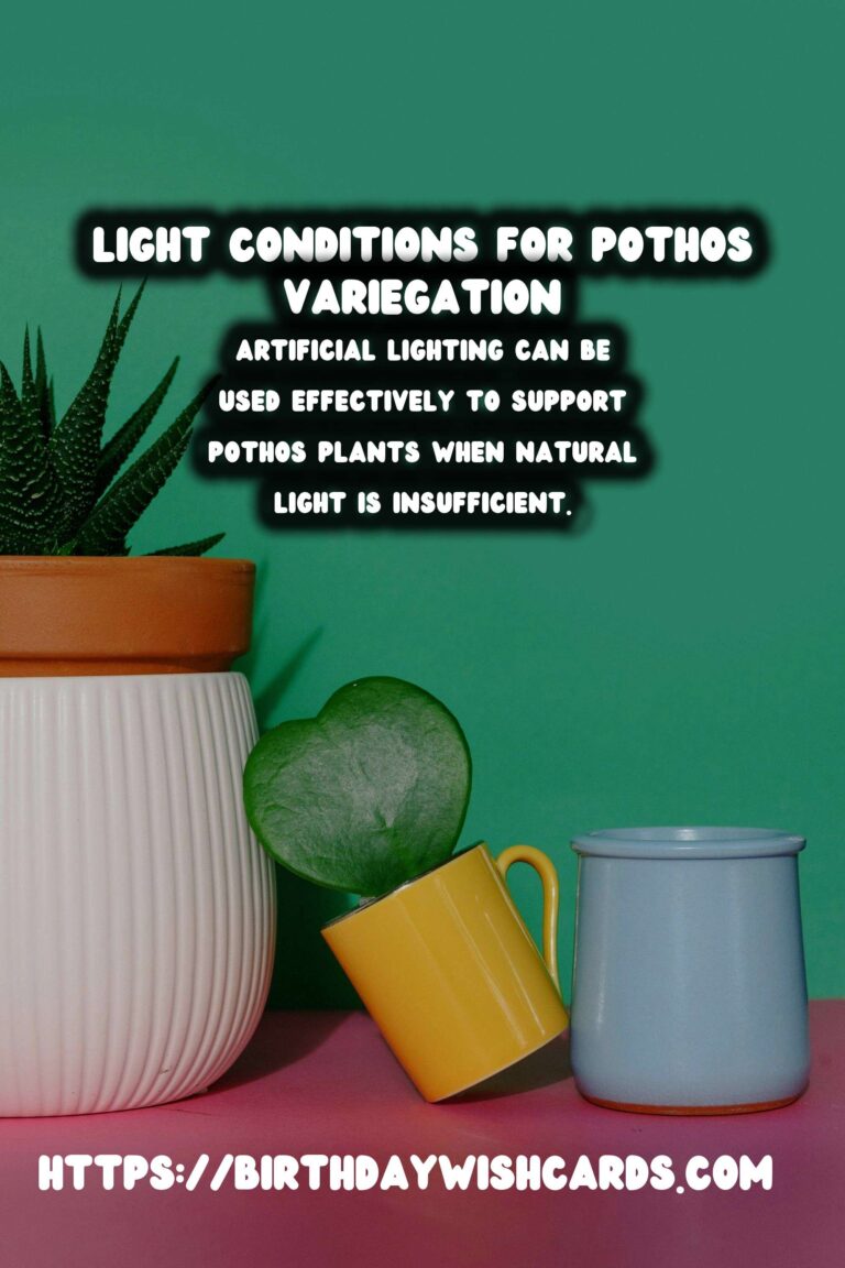 Caring for Pothos Plants: Maximizing Light for Variegation