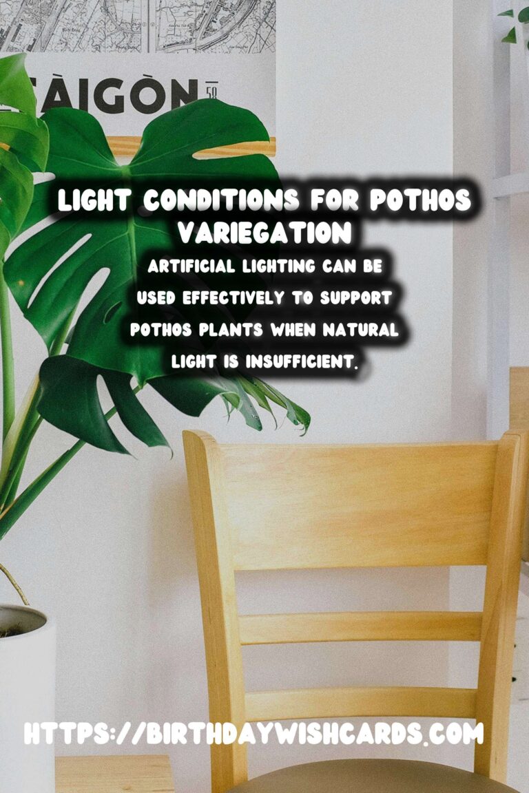 Caring for Pothos Plants: Maximizing Light for Variegation