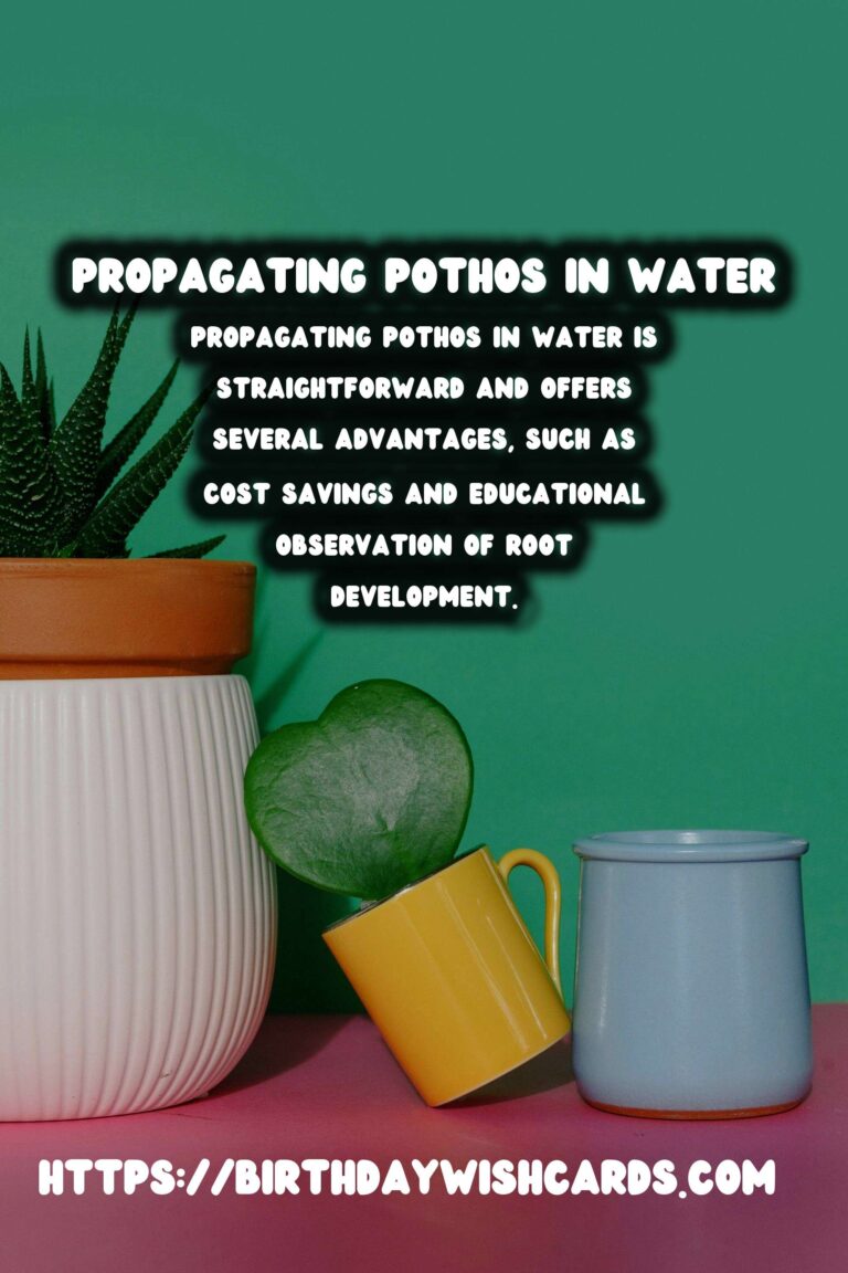 Caring for Pothos Plants: Propagation in Water for Lush Growth