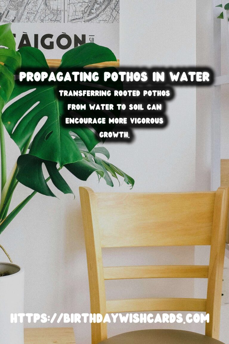 Caring for Pothos Plants: Propagation in Water for Lush Growth