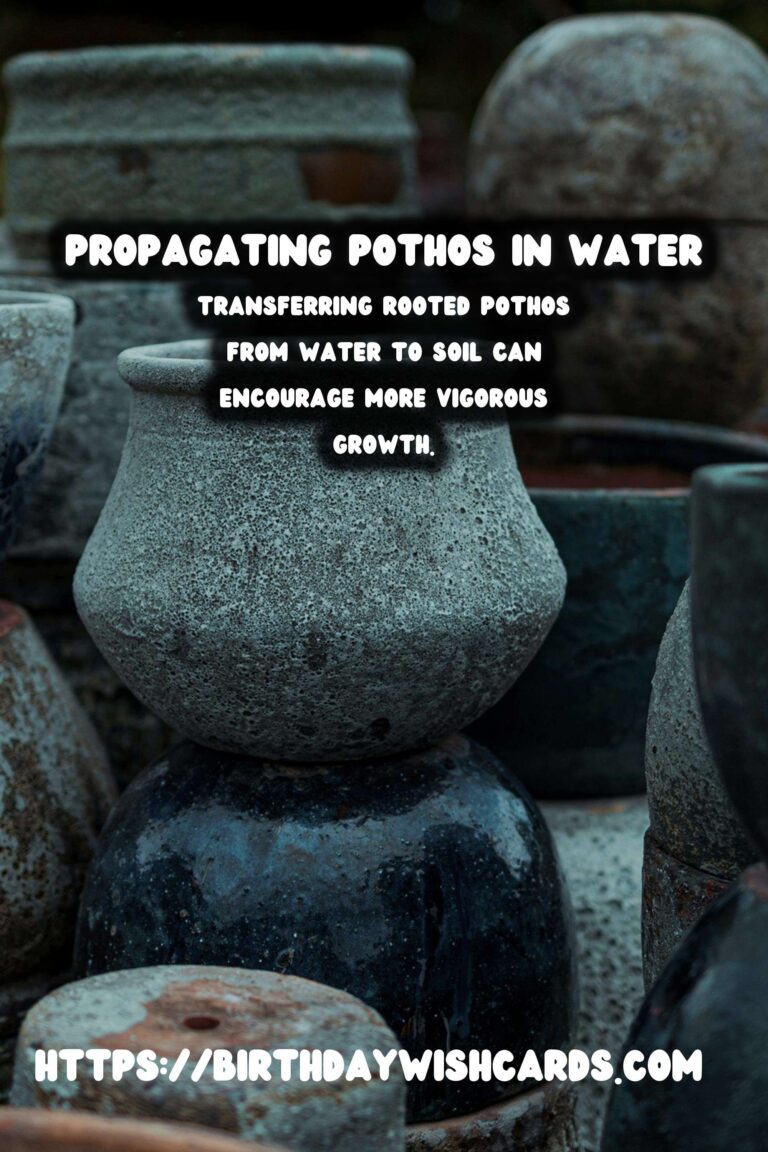 Caring for Pothos Plants: Propagation in Water for Lush Growth