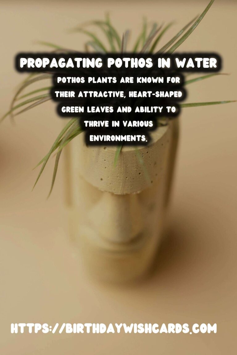 Caring for Pothos Plants: Propagation in Water for Lush Growth