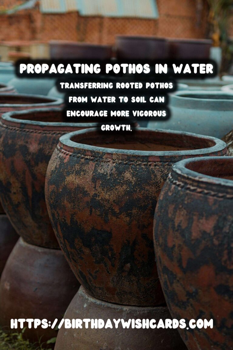 Caring for Pothos Plants: Propagation in Water for Lush Growth