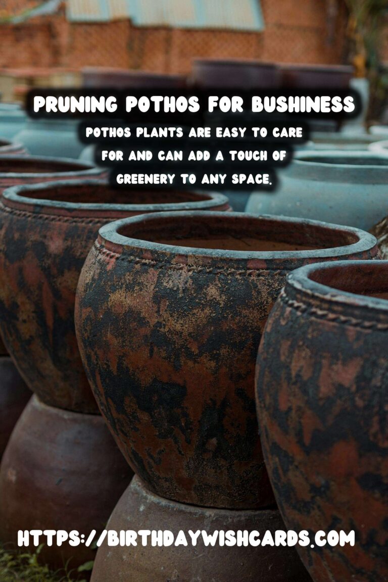 Caring for Pothos Plants: Pruning for Bushiness