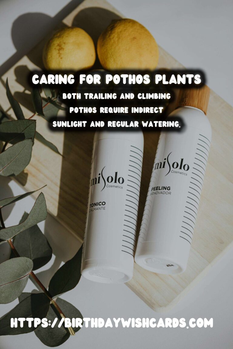 Caring for Pothos Plants: Trailing vs. Climbing
