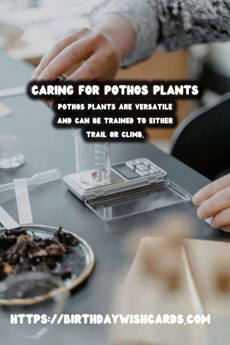 Caring for Pothos Plants: Trailing vs. Climbing