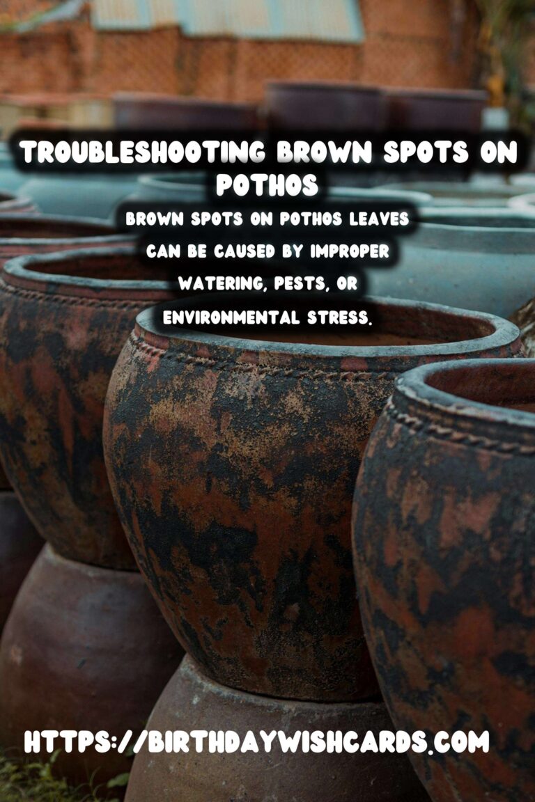 Caring for Pothos Plants: Troubleshooting Brown Spots