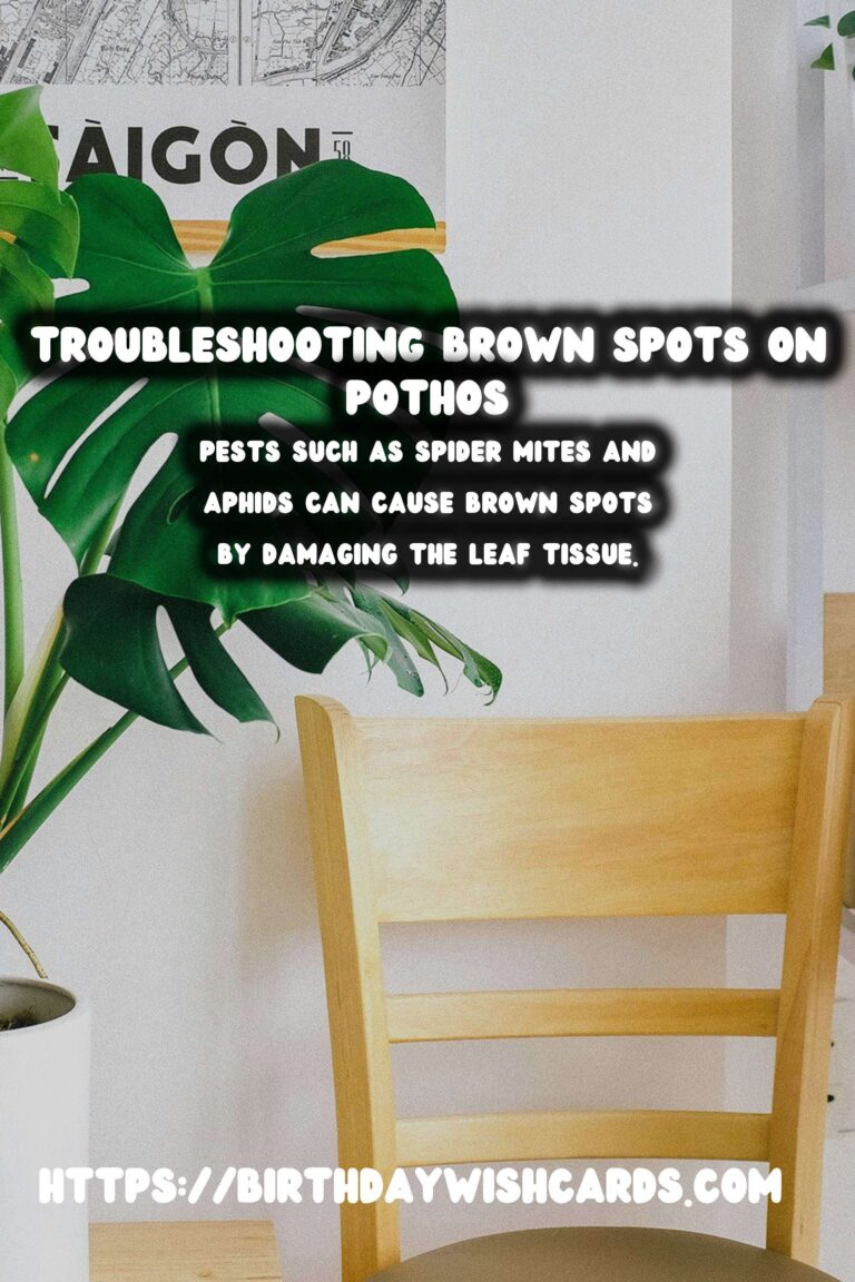 Caring for Pothos Plants: Troubleshooting Brown Spots