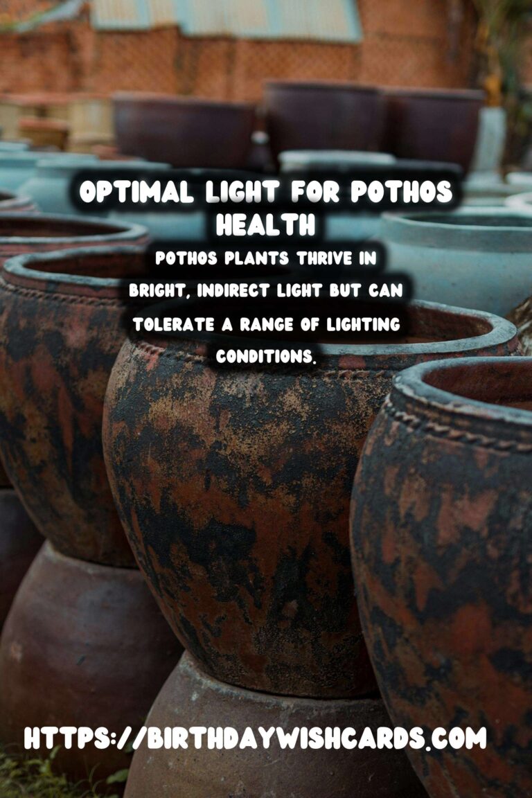 Caring for Pothos Plants: Understanding Light for Optimal Health