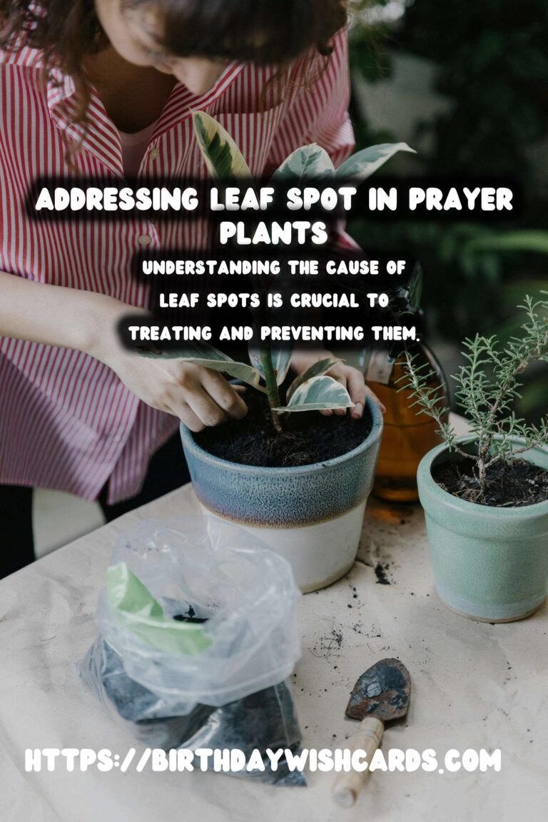 Caring for Prayer Plants: Addressing Leaf Spot Issues