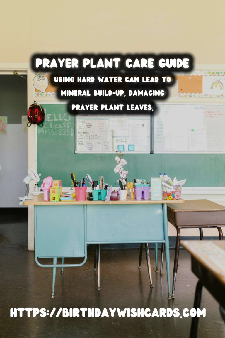 Caring for Prayer Plants: Understanding Brown Tips & Crispy Edges
