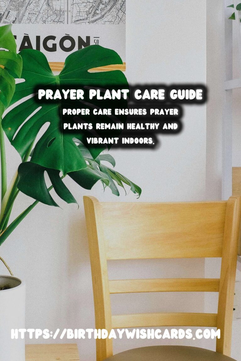 Caring for Prayer Plants: Understanding Brown Tips & Crispy Edges