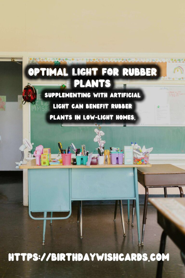 Caring for Rubber Plants: Best Light for Optimal Growth