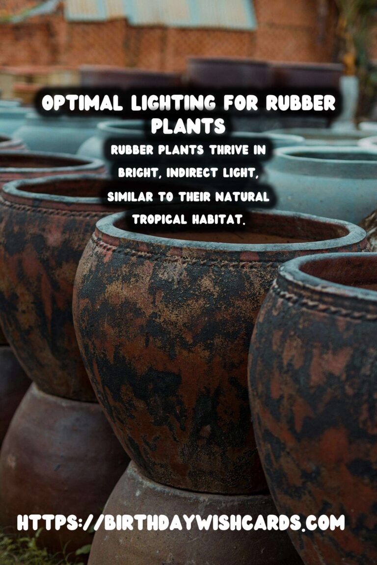 Caring for Rubber Plants: Best Lighting for Vibrant Color