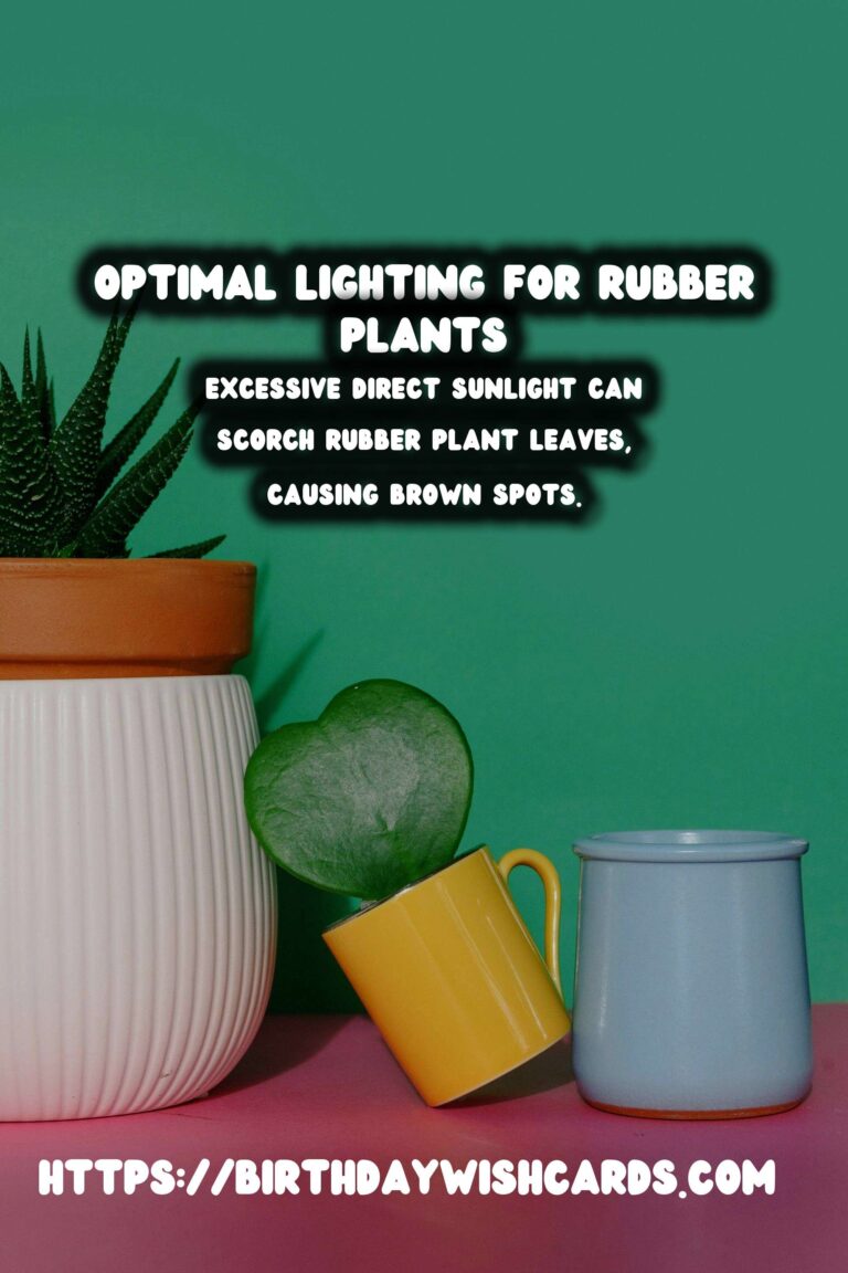 Caring for Rubber Plants: Best Lighting for Vibrant Color