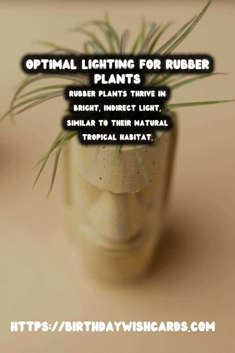 Caring for Rubber Plants: Best Lighting for Vibrant Color