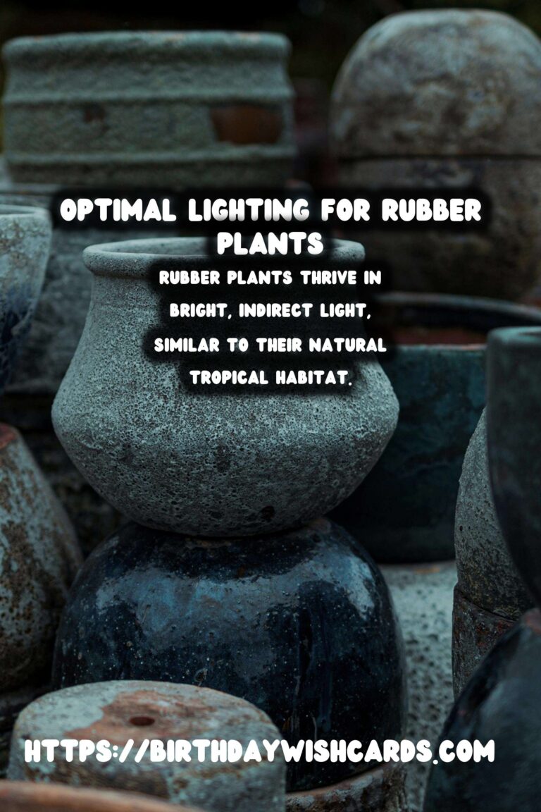 Caring for Rubber Plants: Best Lighting for Vibrant Color