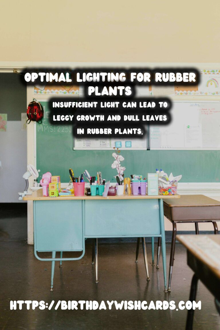 Caring for Rubber Plants: Best Lighting for Vibrant Color