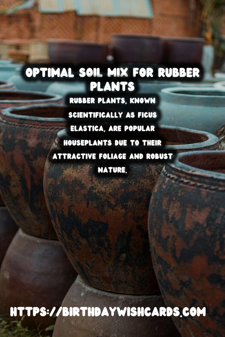 Caring for Rubber Plants: Best Soil Mix for Optimal Growth