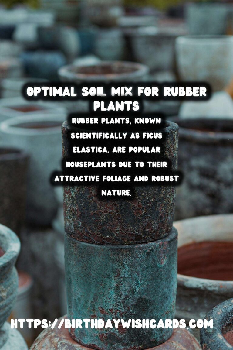 Caring for Rubber Plants: Best Soil Mix for Optimal Growth