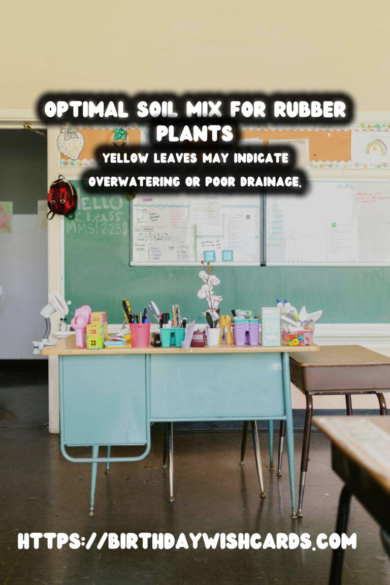 Caring for Rubber Plants: Best Soil Mix for Optimal Growth