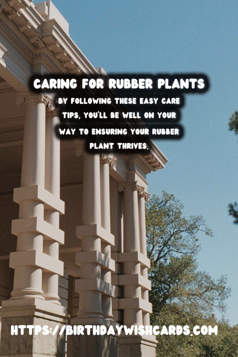 Caring for Rubber Plants: Easy Care Tips for Thriving Houseplants