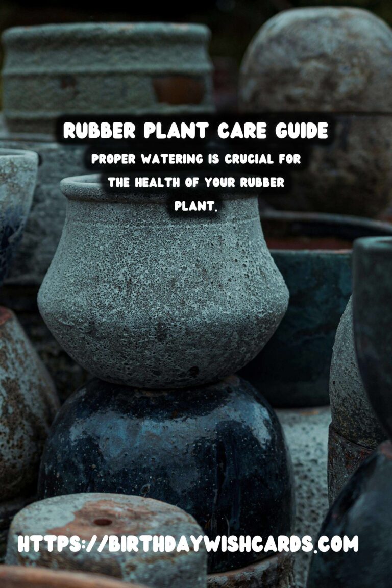 Caring for Rubber Plants: Light and Water Requirements