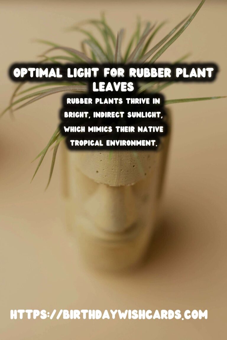 Caring for Rubber Plants: Optimal Light for Darker Leaves