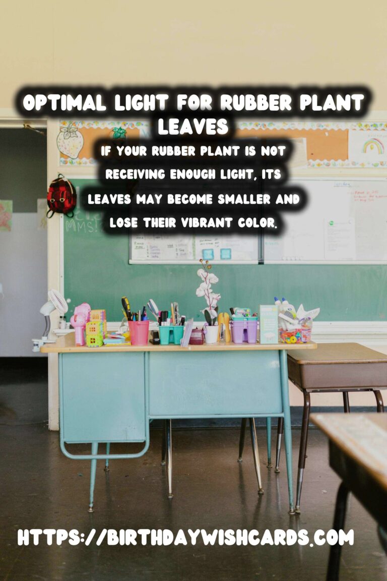 Caring for Rubber Plants: Optimal Light for Darker Leaves