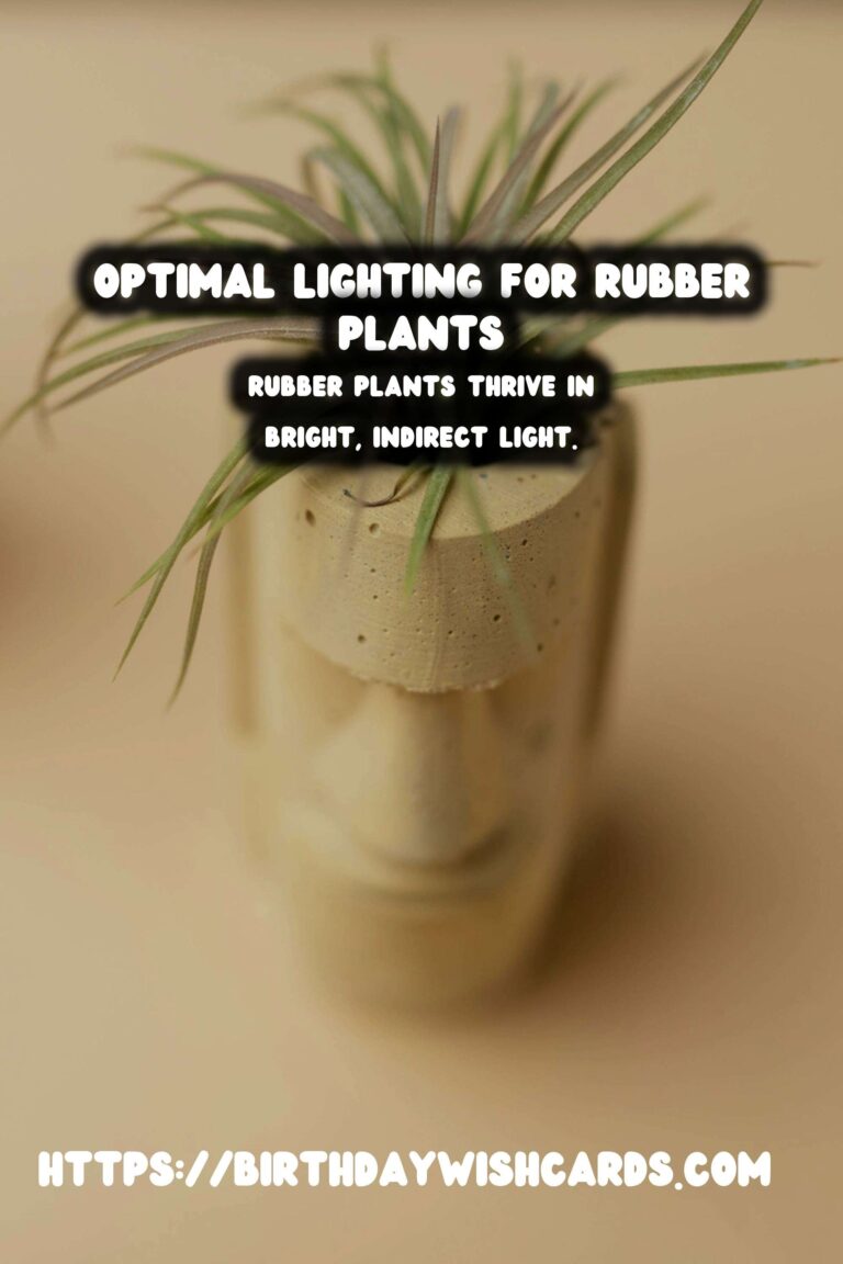 Caring for Rubber Plants: Optimal Lighting for Health
