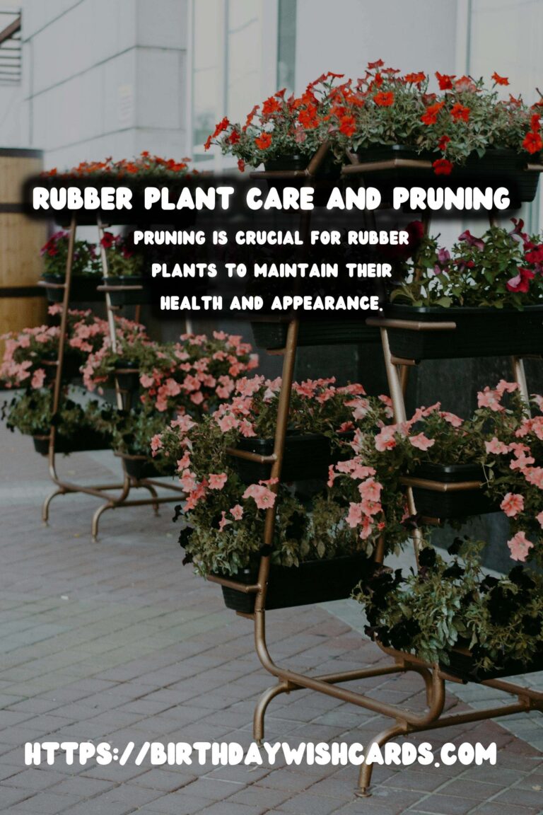 Caring for Rubber Plants: Pruning for Bushiness