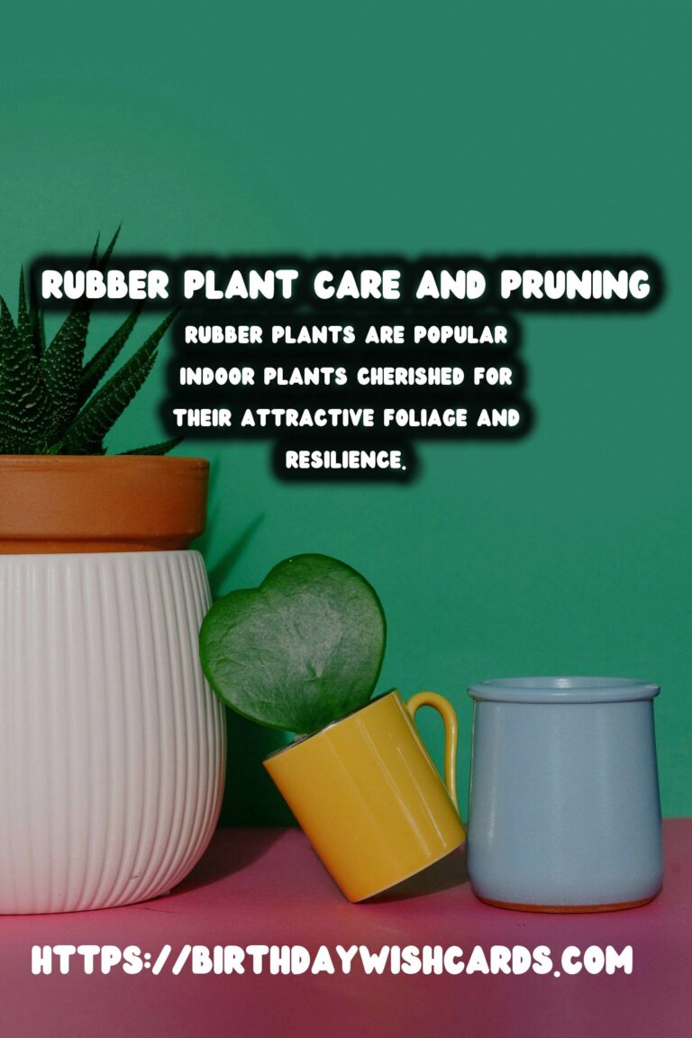Caring for Rubber Plants: Pruning for Bushiness