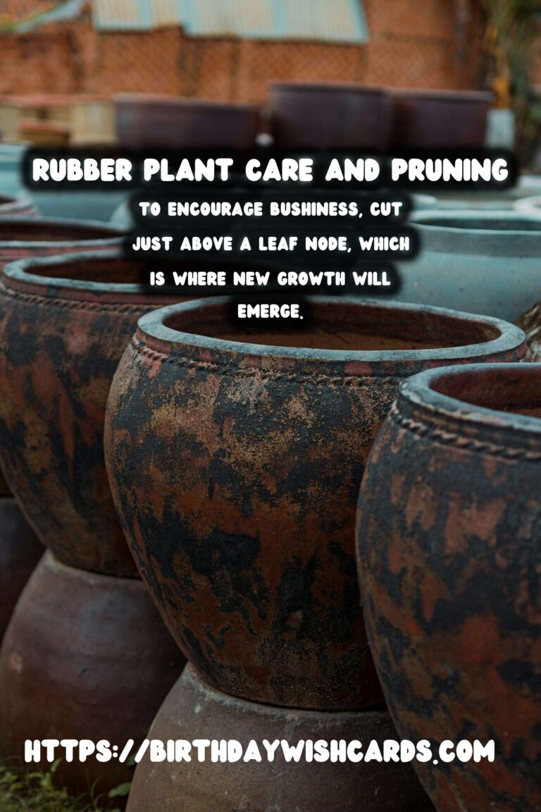 Caring for Rubber Plants: Pruning for Bushiness