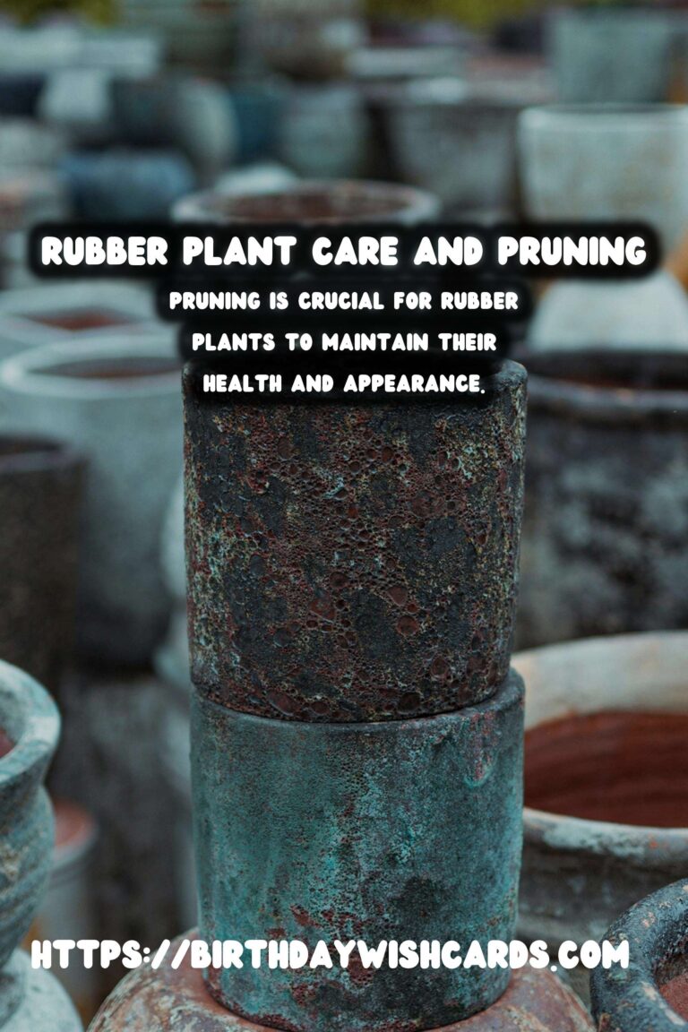 Caring for Rubber Plants: Pruning for Bushiness