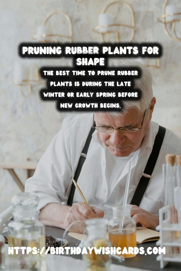 Caring for Rubber Plants: Pruning for Shape