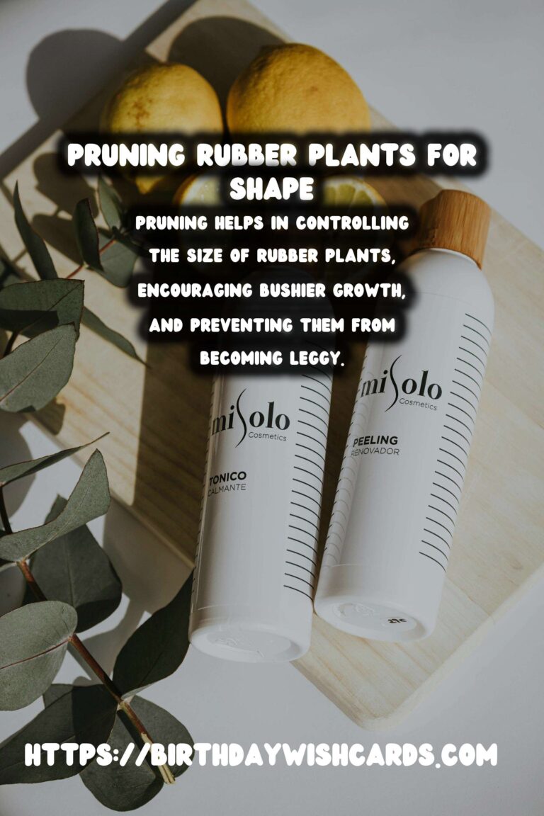 Caring for Rubber Plants: Pruning for Shape