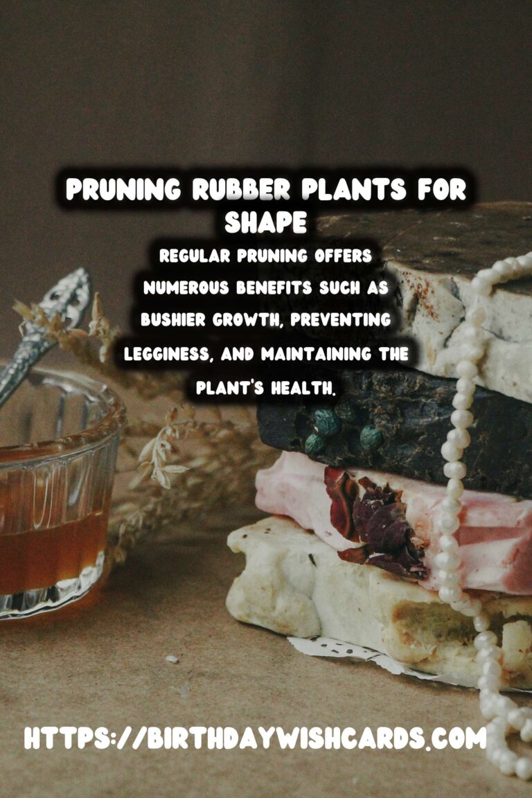 Caring for Rubber Plants: Pruning for Shape