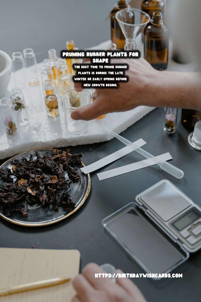 Caring for Rubber Plants: Pruning for Shape