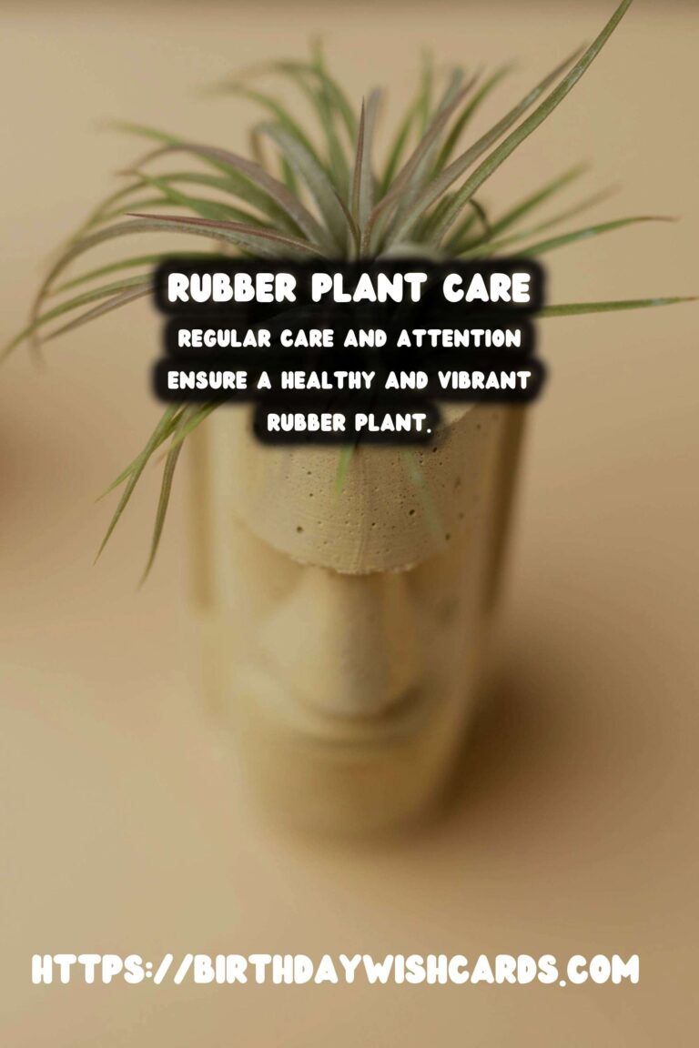 Caring for Rubber Plants: Understanding Brown Leaves and Troubleshooting Tips