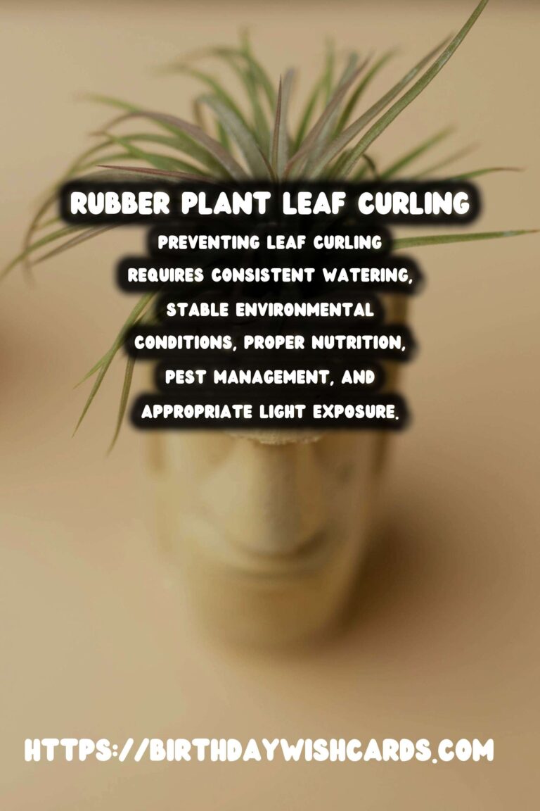 Caring for Rubber Plants: Understanding Leaf Curling Reasons