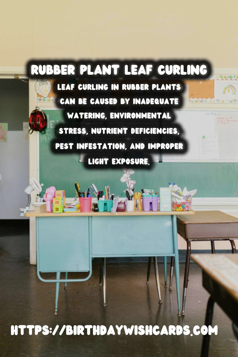 Caring for Rubber Plants: Understanding Leaf Curling Reasons
