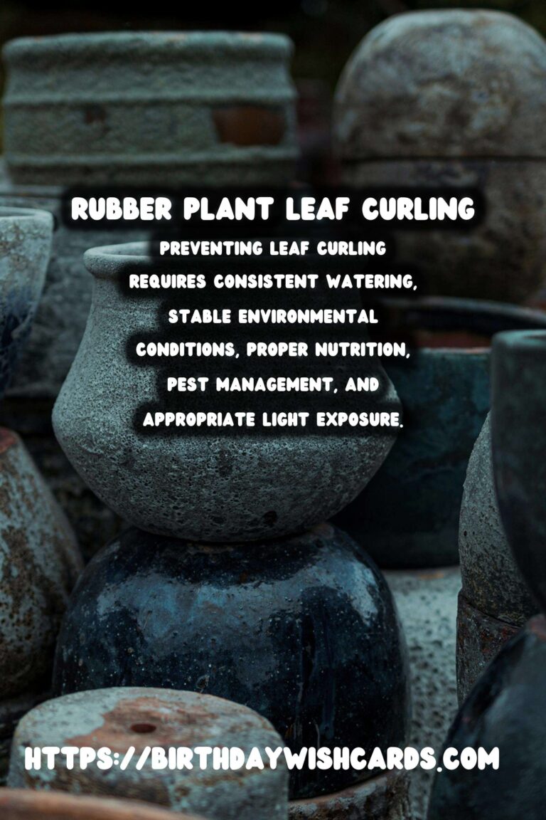 Caring for Rubber Plants: Understanding Leaf Curling Reasons