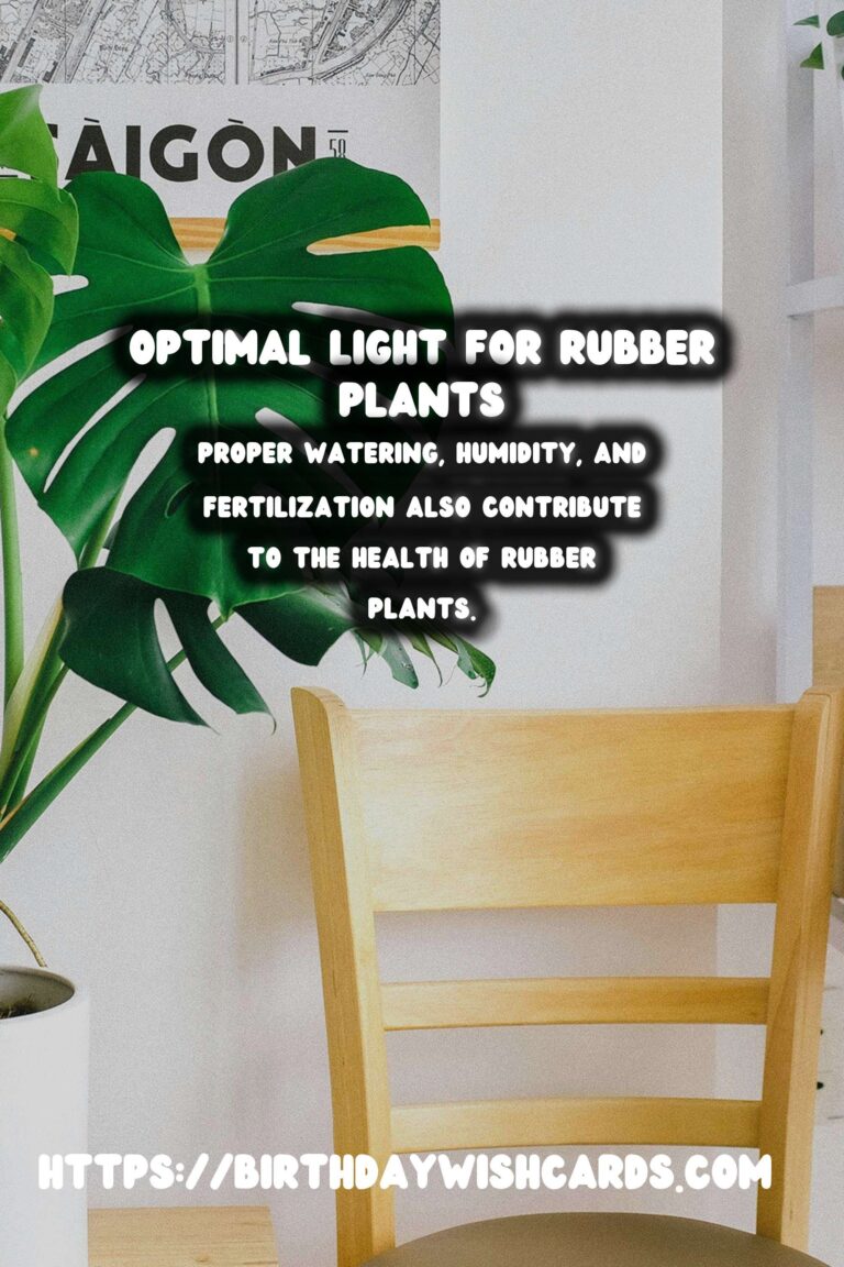 Caring for Rubber Plants: Understanding Light Requirements for Optimal Color