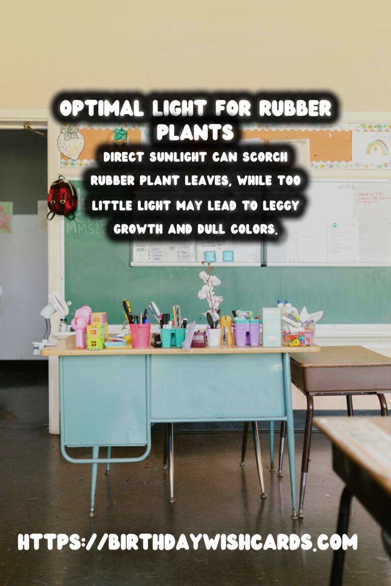 Caring for Rubber Plants: Understanding Light Requirements for Optimal Color
