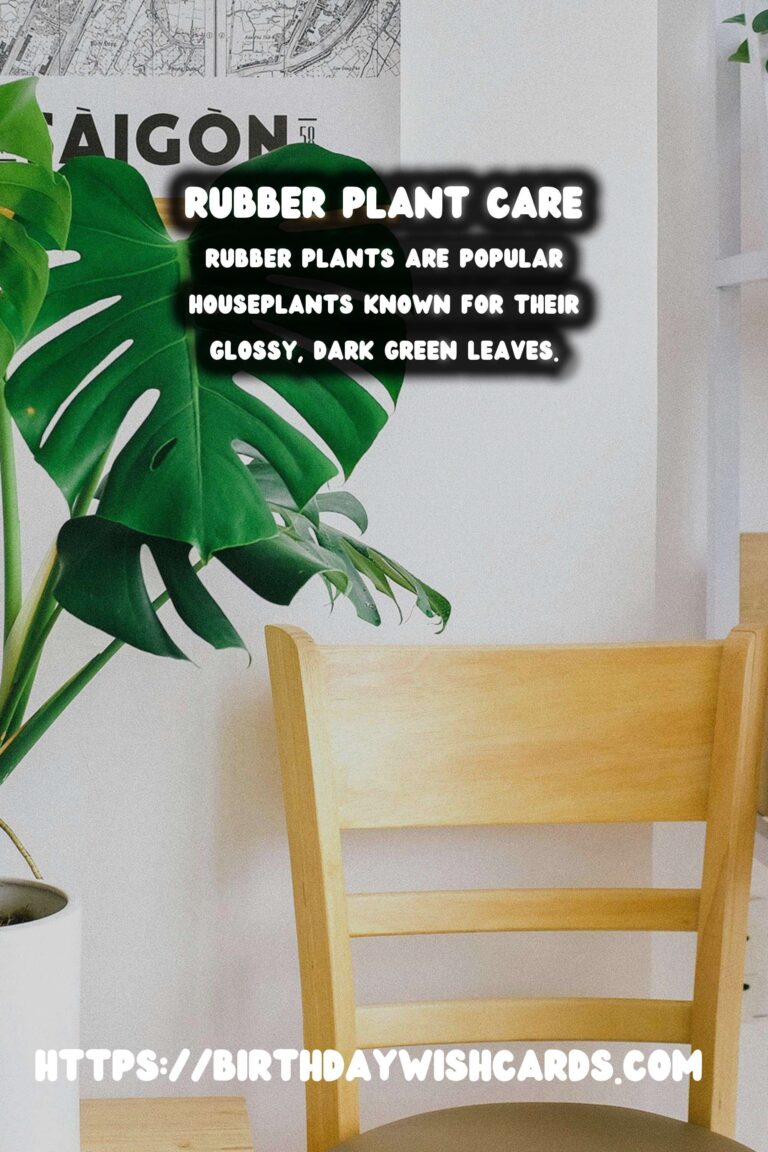 Caring for Rubber Plants: Understanding and Preventing Leaf Dropping