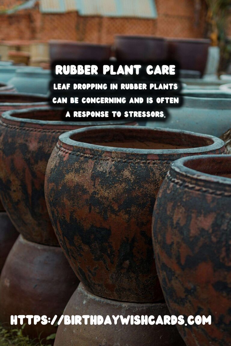 Caring for Rubber Plants: Understanding and Preventing Leaf Dropping